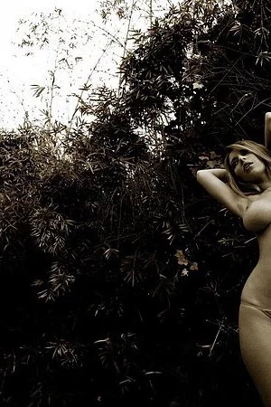 Hot masterpieces of photographic art with charming naked babe Shay Laren